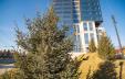 фото ЖК "Prime House" Новосибирск - 13